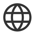 Icon of a globe with latitude and longitude lines.