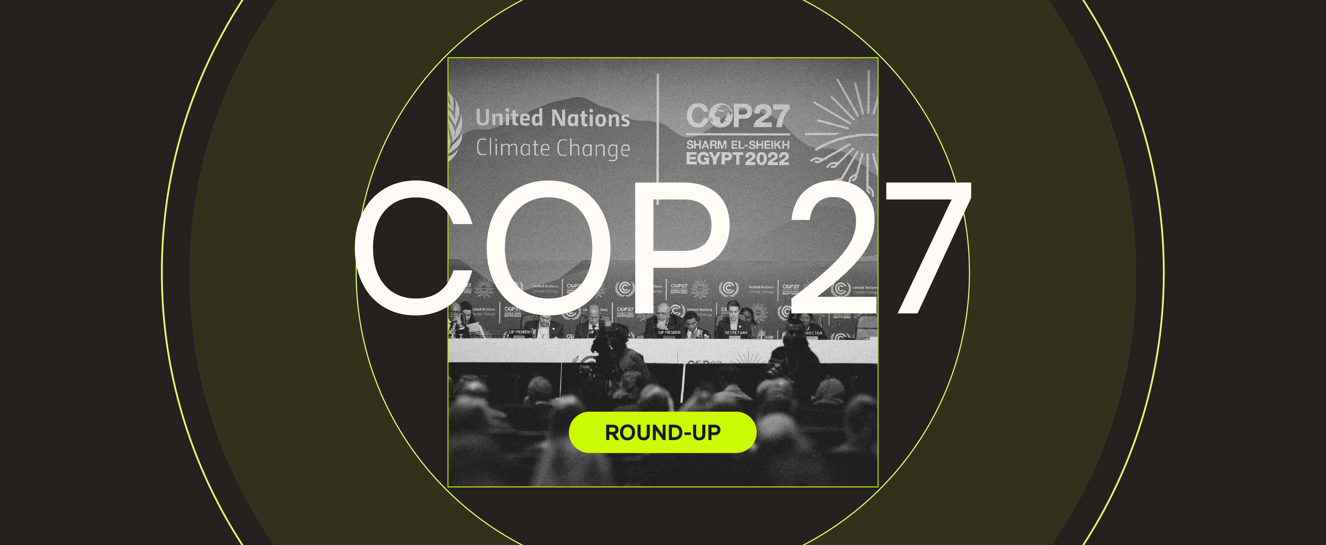 Here’s What Happened at COP27