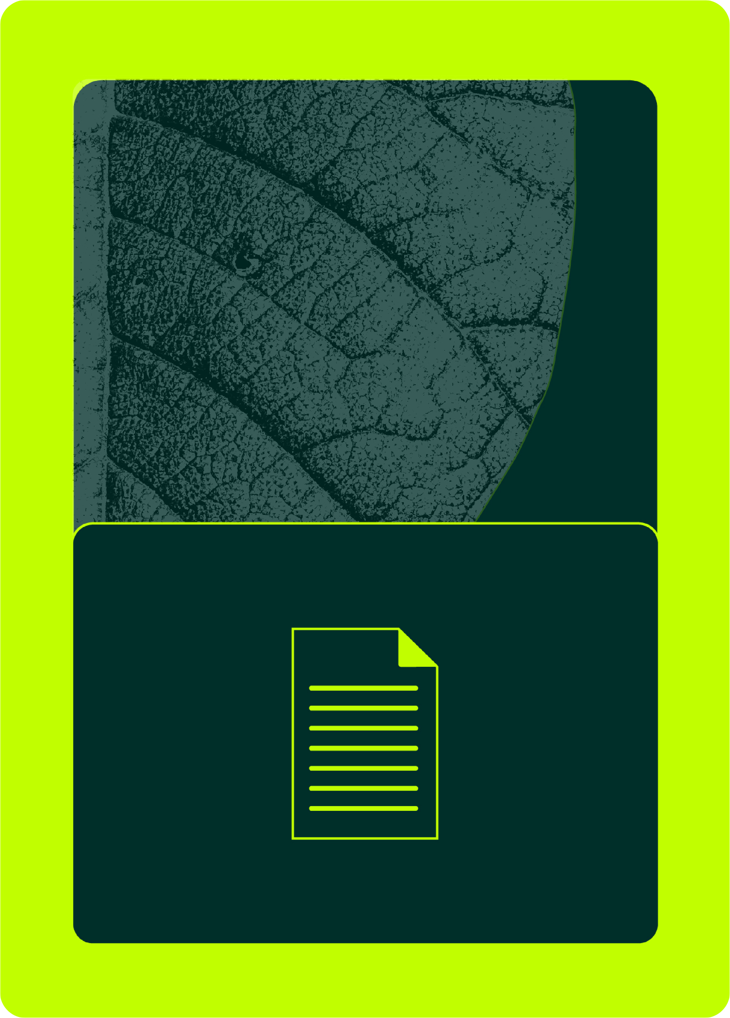 The New Green Claims Directive and What It Means for Retail‍