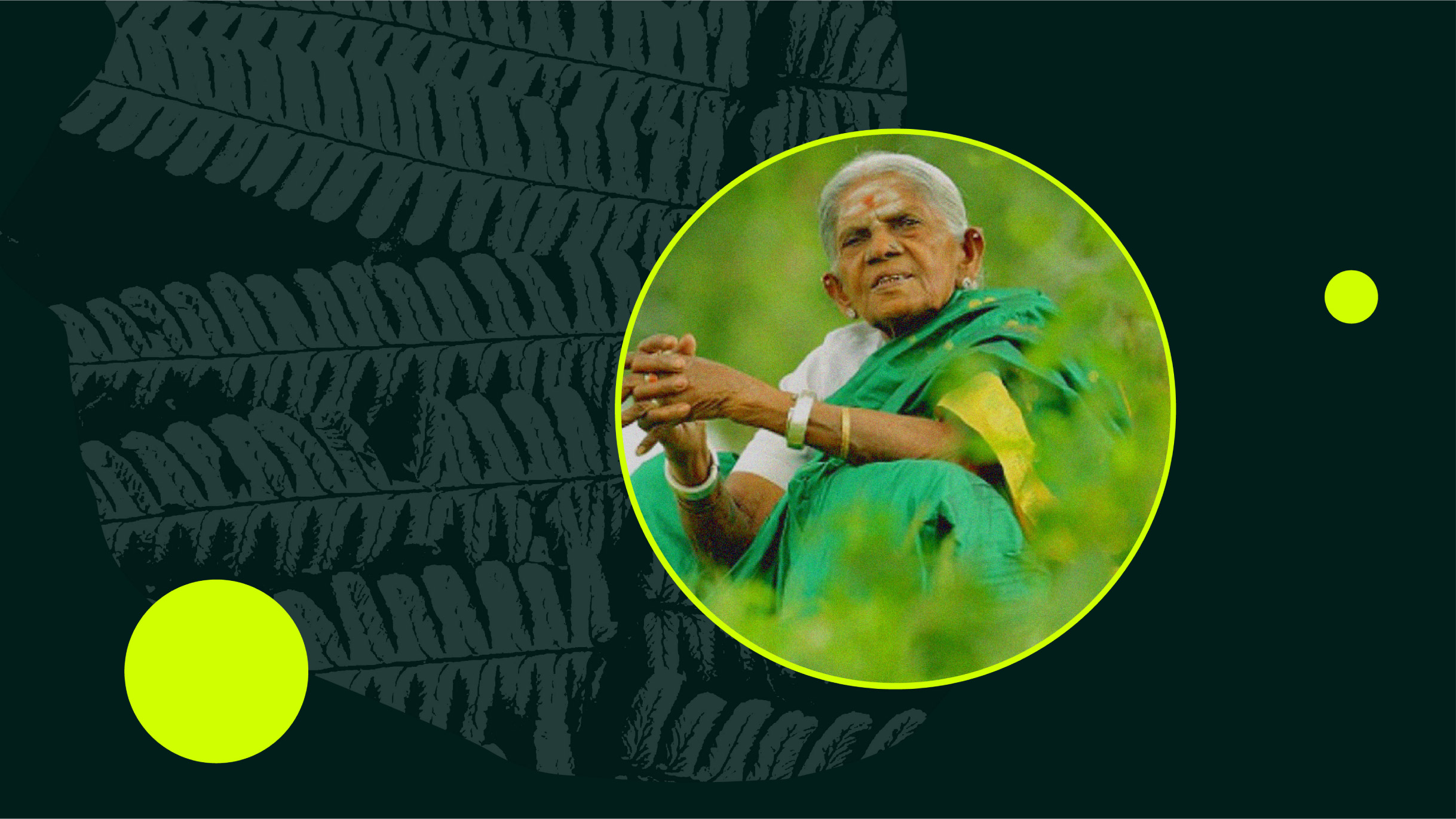 Designed photo of Saalumarada Thimmakka