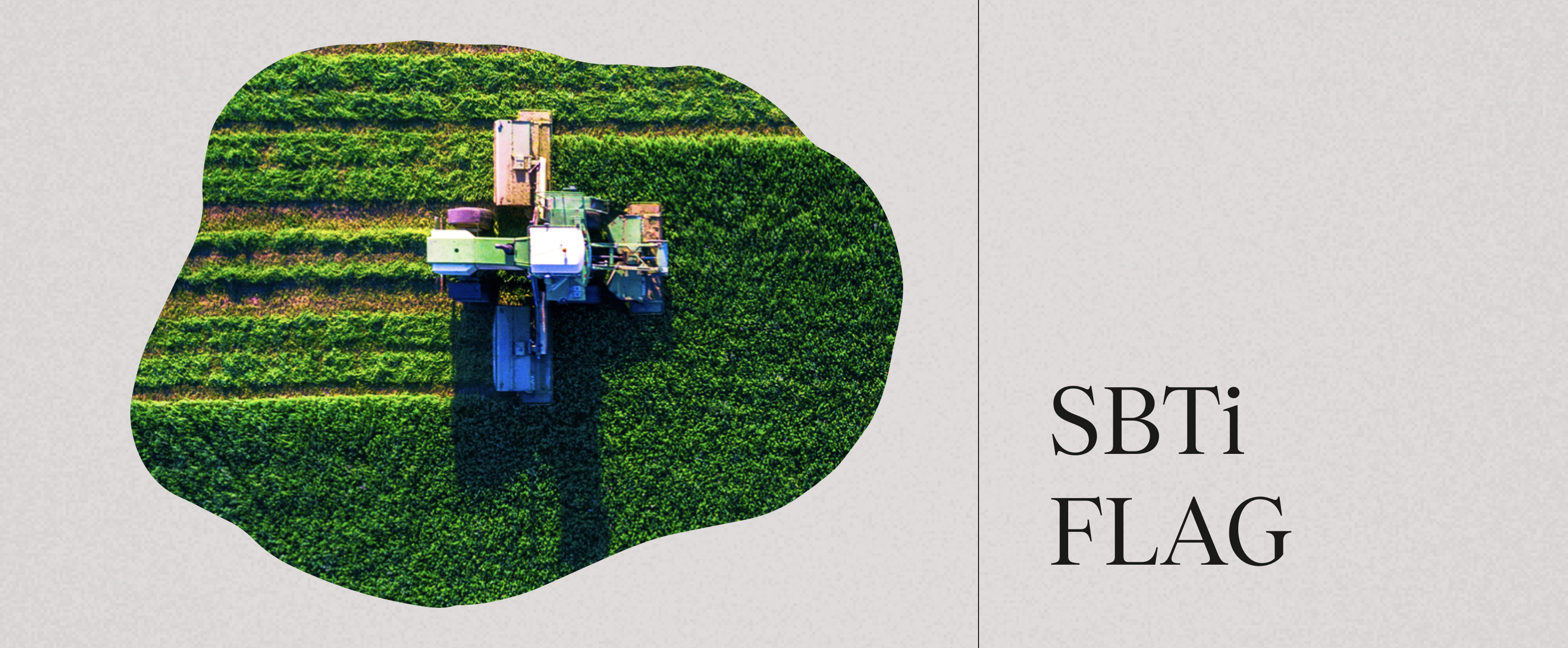 SBTi’s FLAG Emissions: Bootcamp and Quick Reference Guide