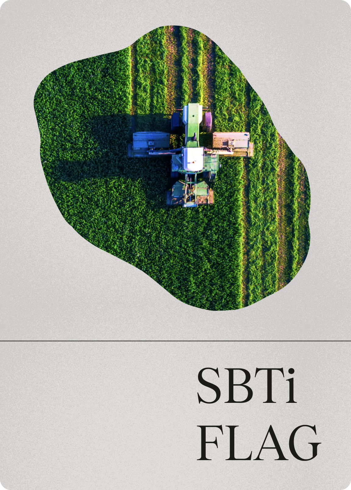 SBTi’s FLAG Emissions: Bootcamp and Quick Reference Guide