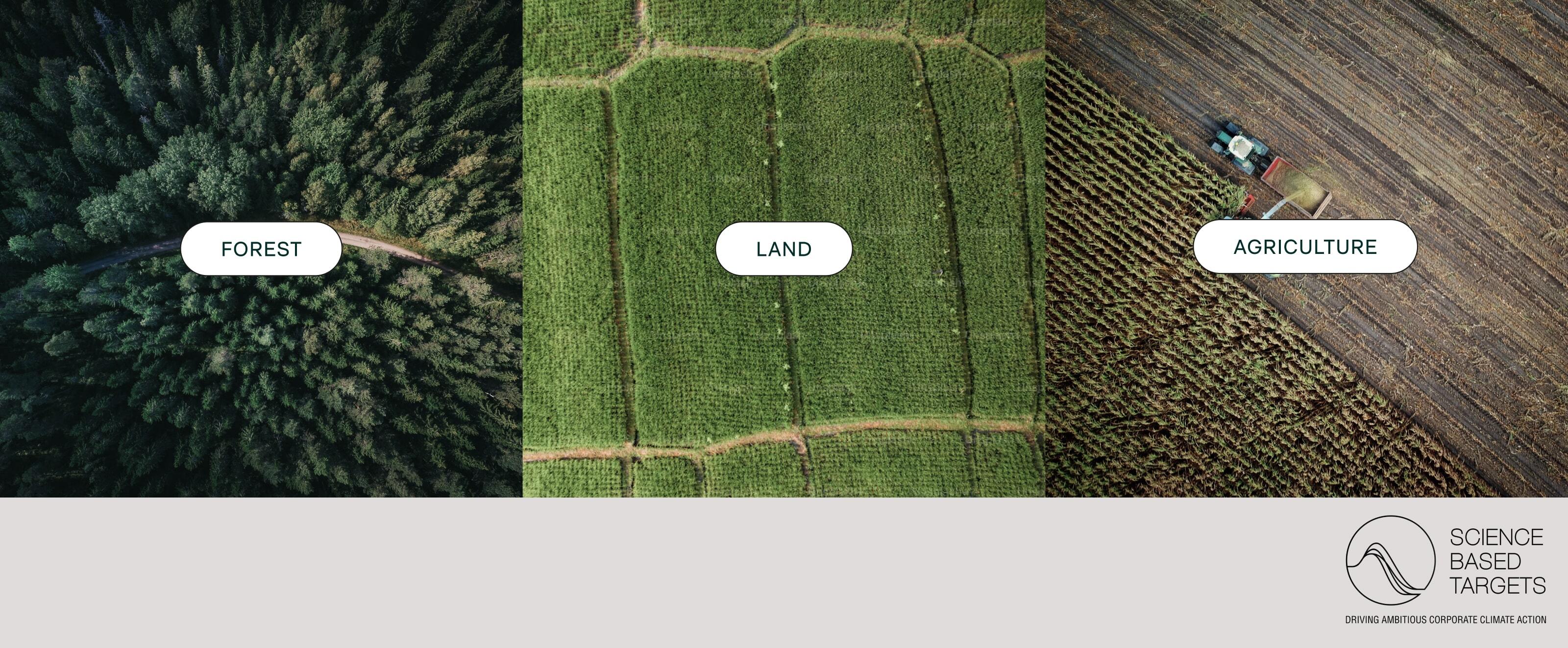 What is FLAG? Forest, Land and Agriculture emissions