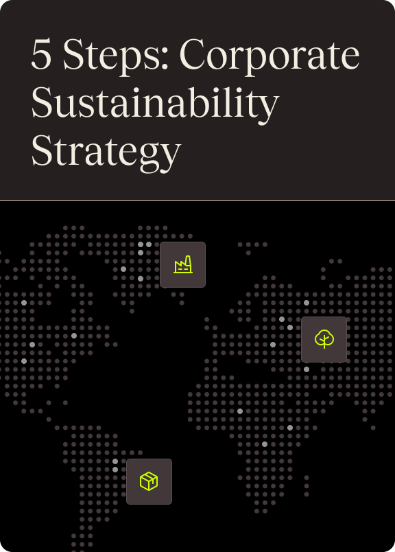 Crafting a Winning Corporate Sustainability Strategy in 5 Actionable Steps