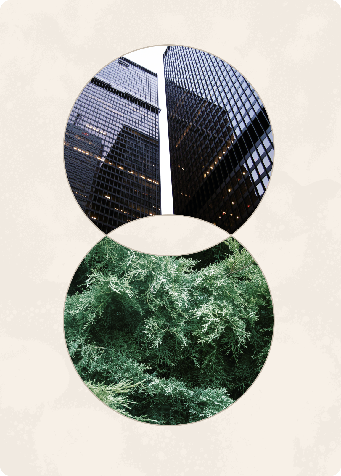 How to Build a Business Case for Sustainability (CFO-Ready)